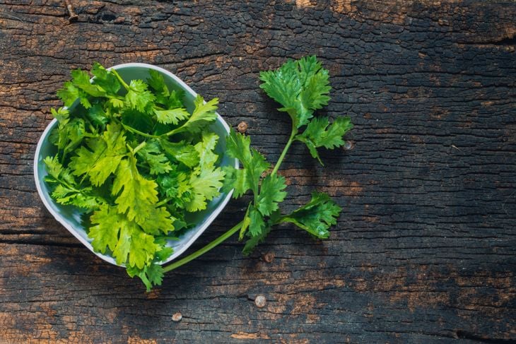 Cilantro, the Healthy Aromatic Herb