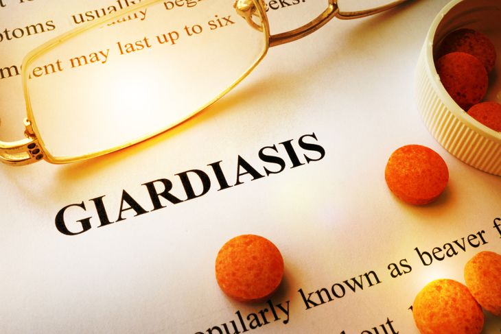 Giardiasis: A Comprehensive Guide to its Symptoms and Treatments