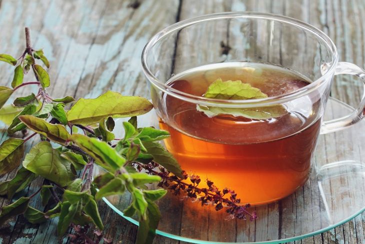 Discover the Healing Power of Tulsi: 10 Benefits You Need to Know