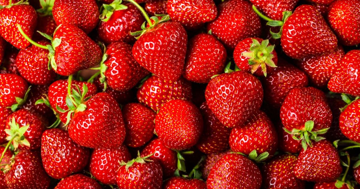 10 Healthy Reasons to Always Buy a Quart of Strawberries Facty Health