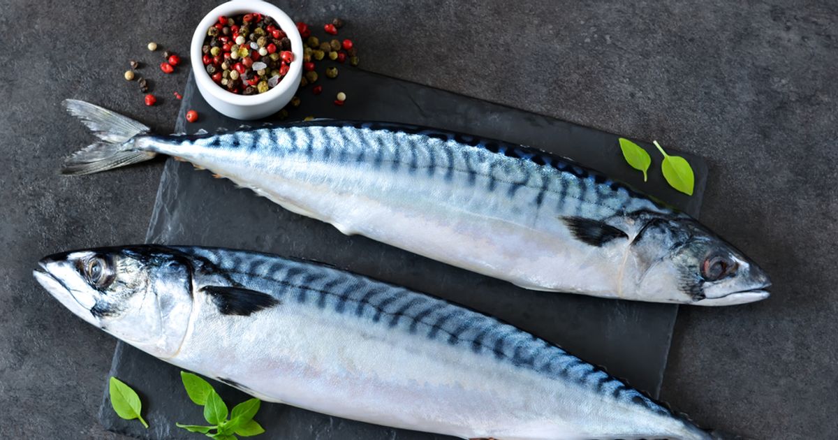 Mackerel the Mega Omega3 Fish Facty Health