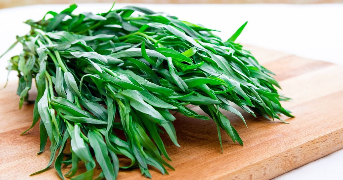 Health Benefits of Tarragon Facty Health