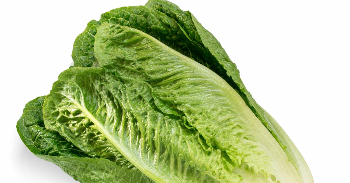 Health Benefits of Romaine Lettuce Facty Health