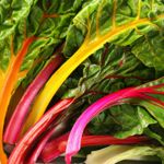 Healing Benefits of Swiss Chard