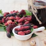 Amazing Health Benefits of Mulberry
