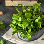 The Delicious Health Benefits of Watercress
