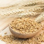 Super Health Benefits of Barley