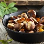 The Mighty Chestnut
