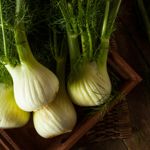 10 Ways Fennel Contributes to Your Health and Well-being