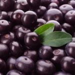 Acai Berries: The New Superfood?