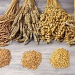Health Benefits of Farro