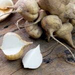Jicama, a Nutritional Powerhouse
