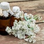 10 Surprising Health Benefits of Yarrow