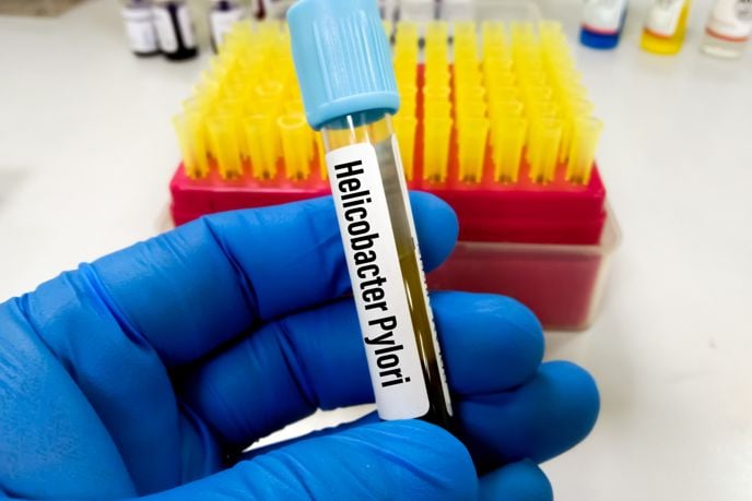 Preventing H. Pylori Infection Naturally