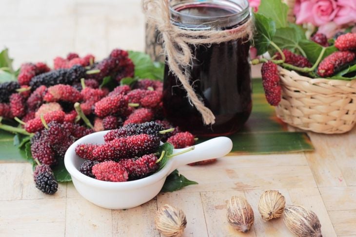 Amazing Health Benefits of Mulberry