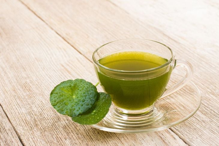 Amazing Health Benefits of Gotu Kola