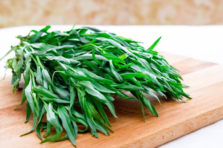 Health Benefits of Tarragon