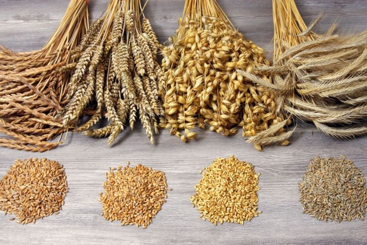 Health Benefits of Farro