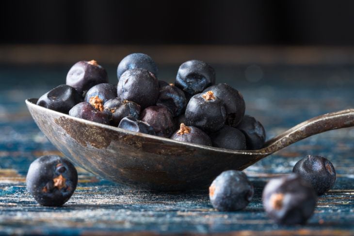 Surprising Health Benefits of Juniper Berries