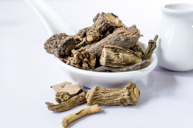 10 Incredible Ways Sarsaparilla Benefits Your Health