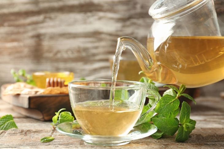 Health Benefits of Lemon Balm