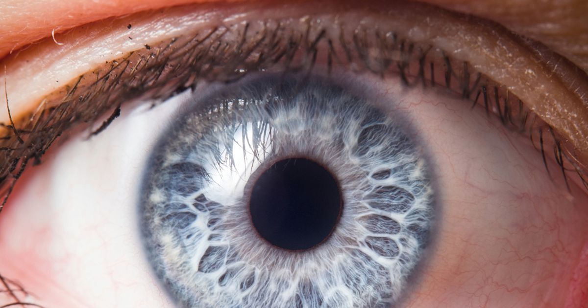 Common Eye Infections and How to Treat Them Facty Health