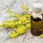 10 Ways Your Health Could Benefit From Mullein