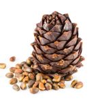 The Health Benefits of Pine Nuts