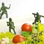 What is the Military Diet?