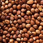 The Power of Hazelnuts: 10 Health Benefits You Should Know