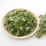 10 Intriguing Properties of Mugwort