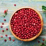 Lingonberry: The Wonder Berry