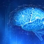 What is the Vagus Nerve? How does it Affect your Health?