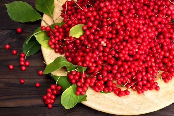 Health Benefits of Schisandra