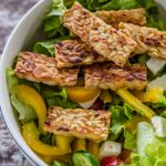 The Best Meat Substitutes