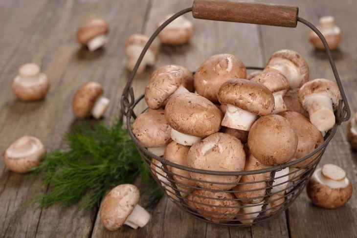 10 Reasons to Enjoy Cremini Mushrooms