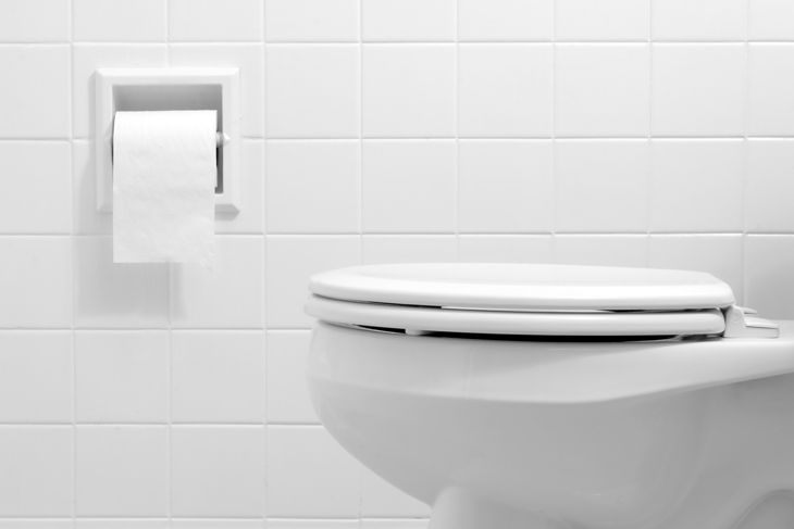 How to Unclog a Toilet