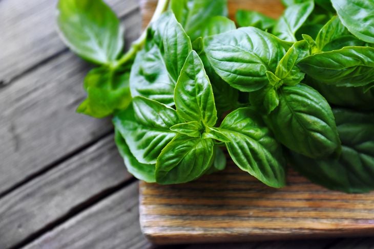 Health Benefits of Basil