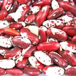 10 Intriguing Health Benefits of Anasazi beans