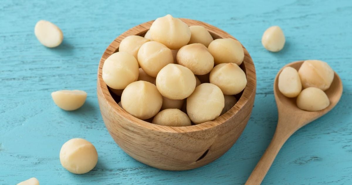 Unlocking the Power Exploring the 10 Health Benefits of Macadamia Nuts
