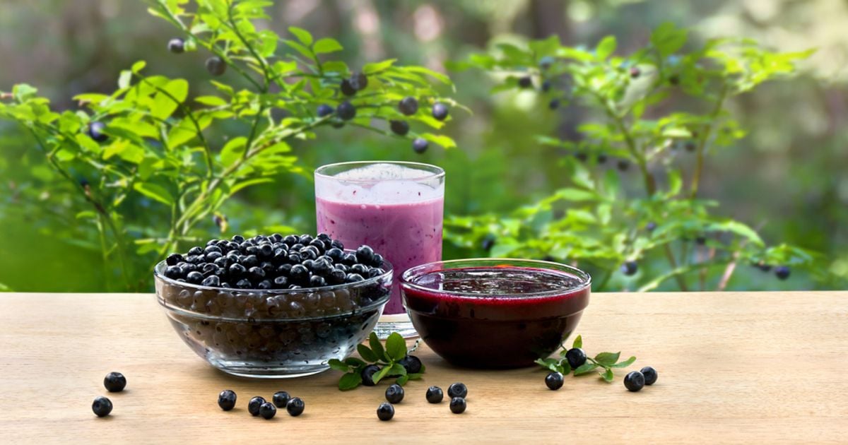 10 Health Benefits of Bilberries Facty Health