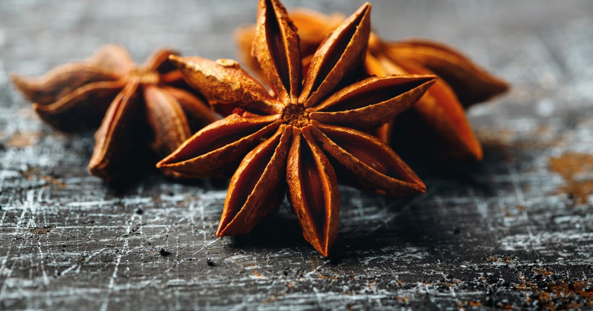 What is Star Anise and How Can it Benefit Your Health? Facty Health