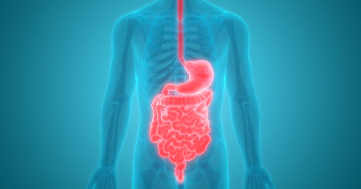 Symptoms and Treatment of Steatorrhea (Fatty Stool) - Facty Health