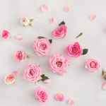 How to Draw a Rose