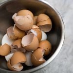 Benefits of Adding Eggshell to Your Diet