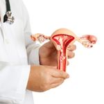 Frequently Asked Questions About Primary Ovarian Insufficiency