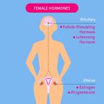 10 Symptoms of Estrogen Dominance