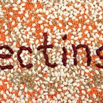 What is the Lectin-Free Diet?