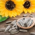 How Sunflower Seeds Can Improve Your Health