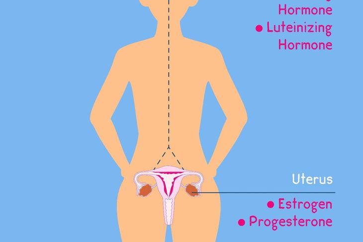 10 Symptoms of Estrogen Dominance